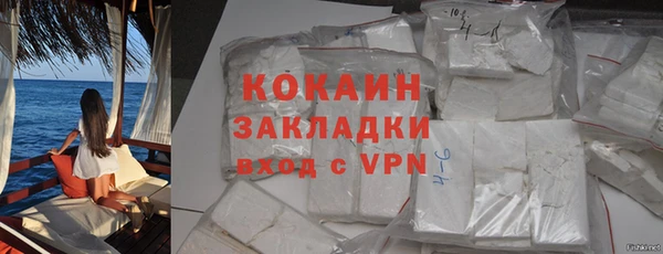 шишки Дмитриев