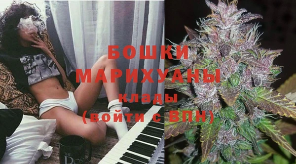 шишки Дмитриев