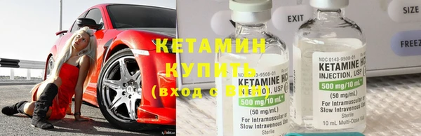 шишки Дмитриев