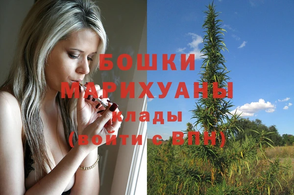 шишки Дмитриев