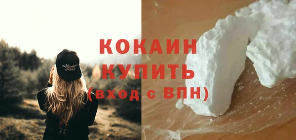 шишки Дмитриев