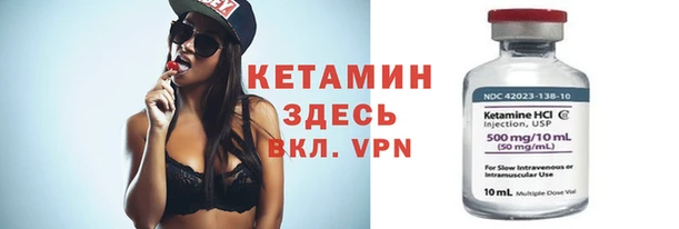 шишки Дмитриев