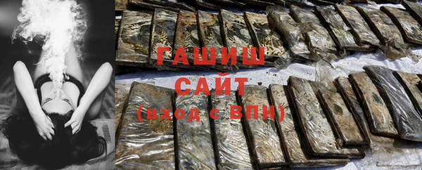 шишки Дмитриев