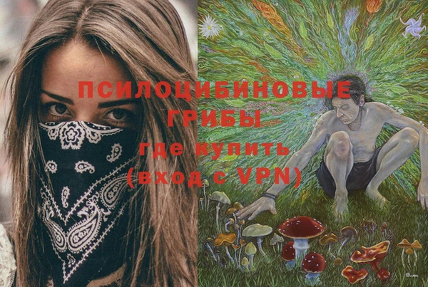 шишки Дмитриев