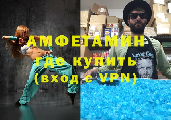 шишки Дмитриев