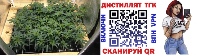 Купить закладки  Кимовск  Дистиллят ТГК THC oil 