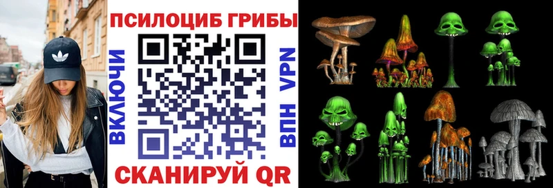 Купить закладки  Кимовск  Псилоцибиновые грибы Psilocybe 